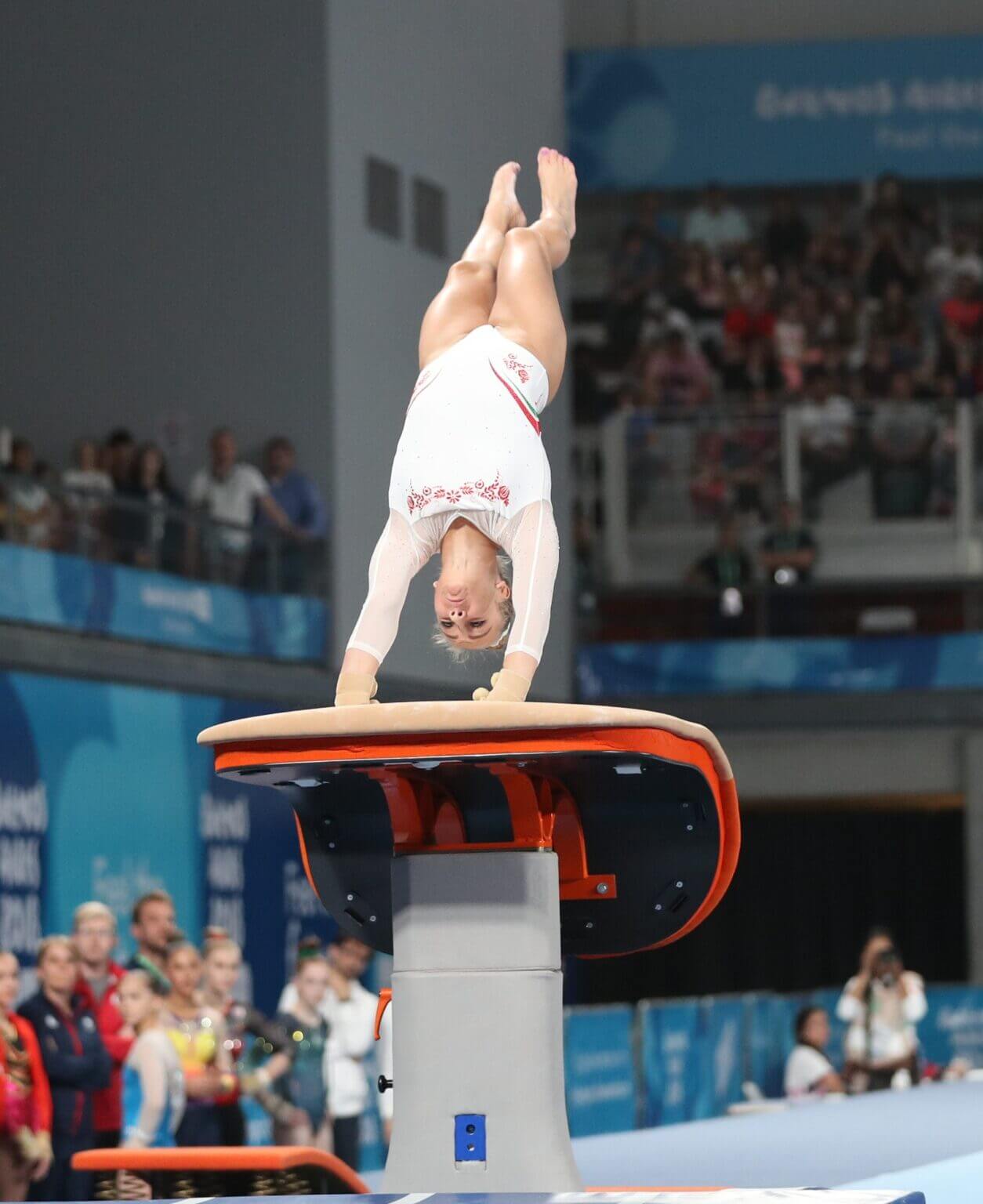 vault gymnastics handspring