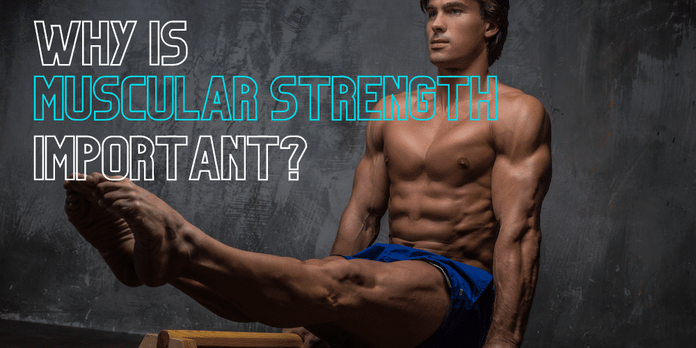 muscular strength in gymnastics